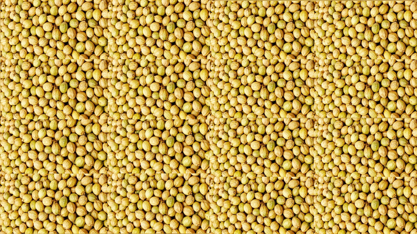 Whole Coriander Seed
