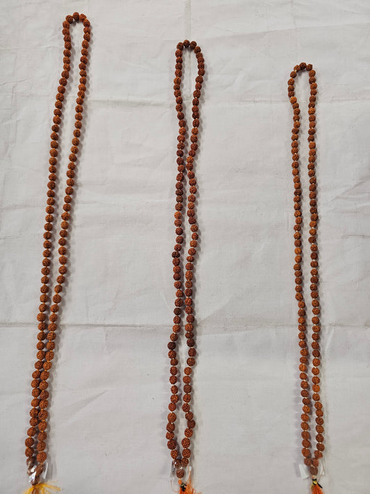 108 Rudraksha Mala